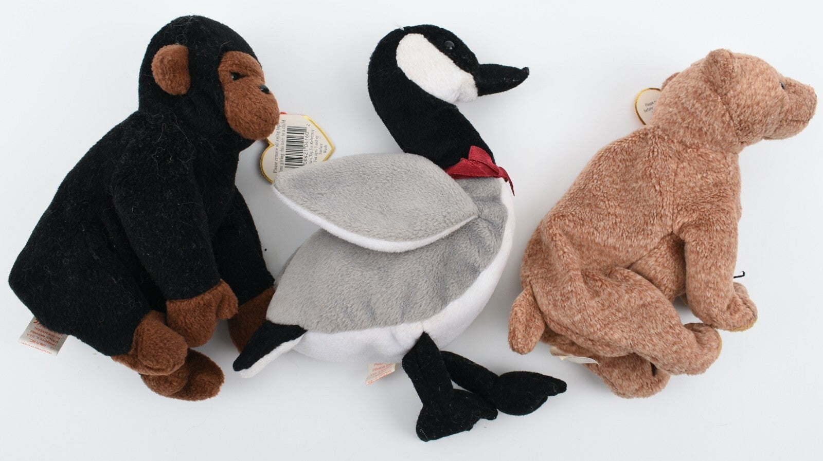 TY BEANIE Babies - Set of 3 - Congo & Pecan & Loosy