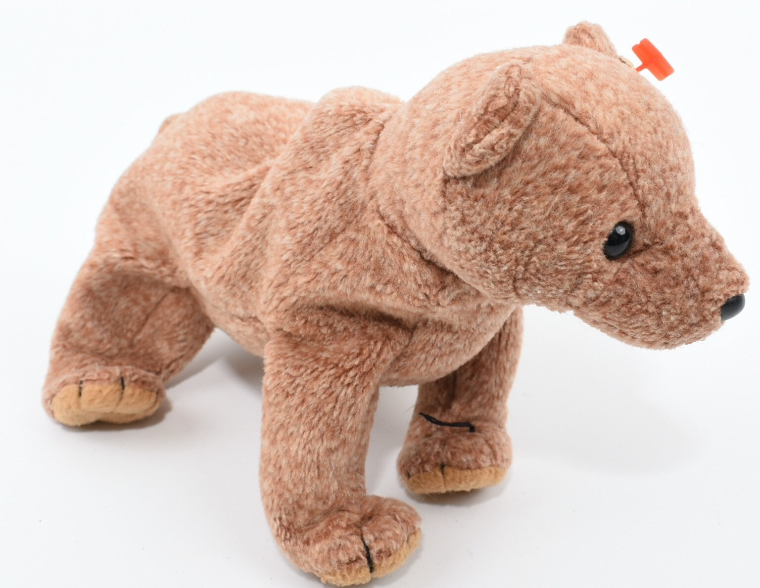 TY BEANIE Babies - Set of 3 - Congo & Pecan & Loosy
