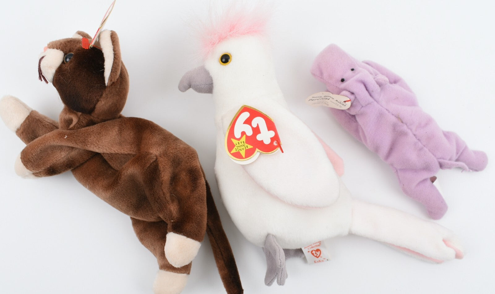 TY BEANIE Babies - Set of 3 - Kuku & Pounce & Percival
